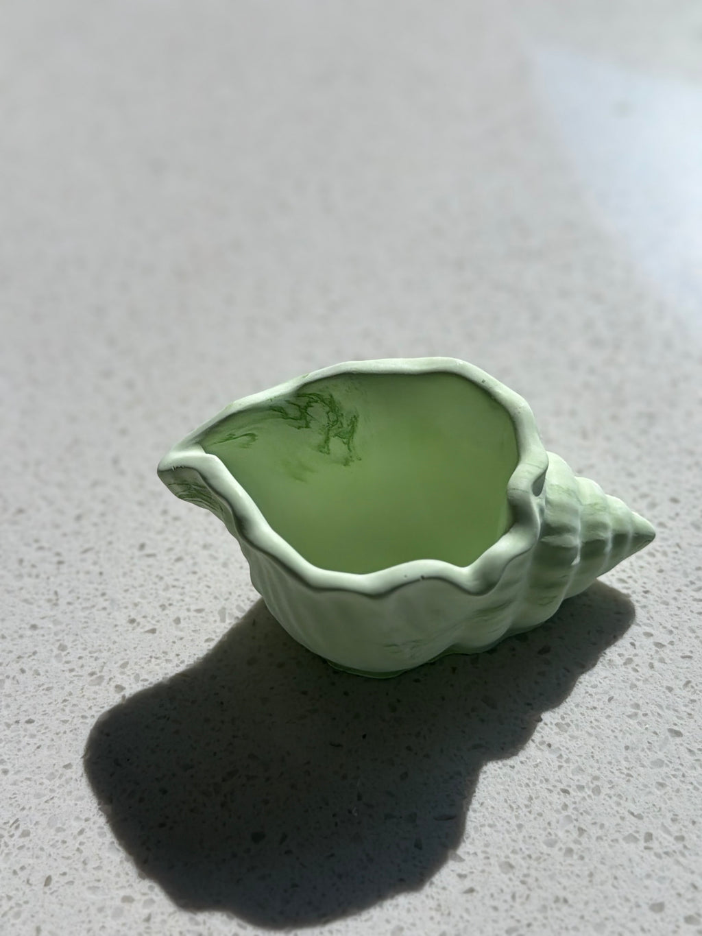 Ocean Conch Seashell Storage Bowl