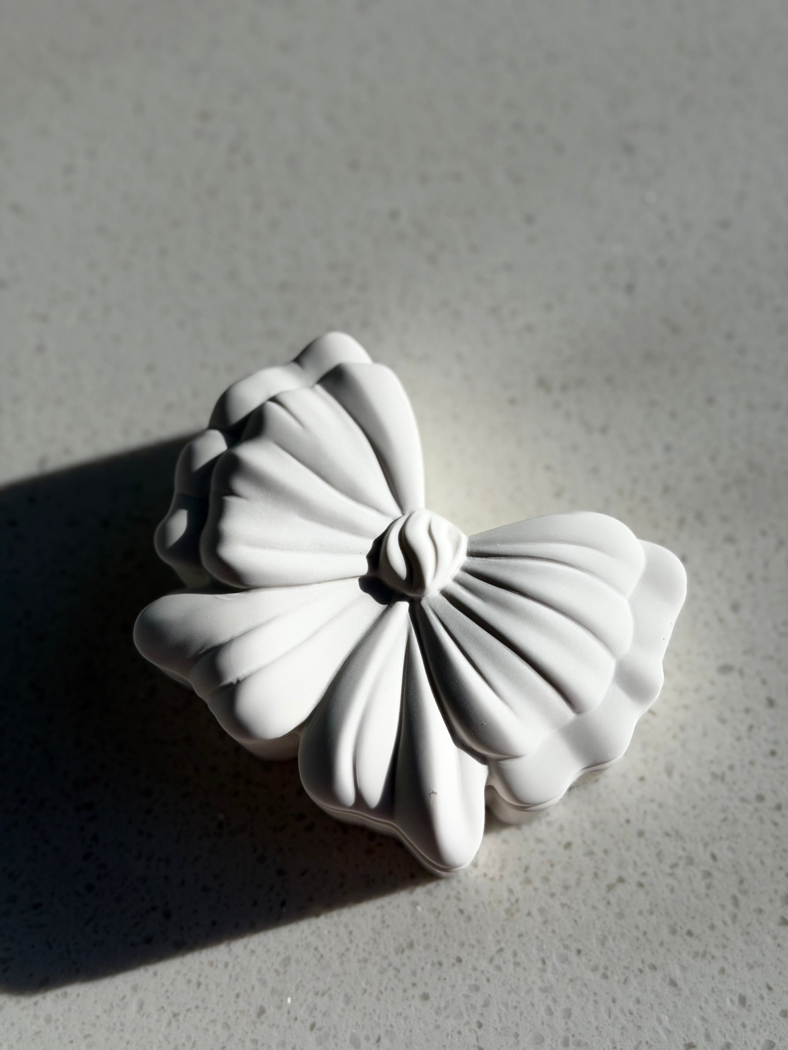 Butterfly Treasure Box