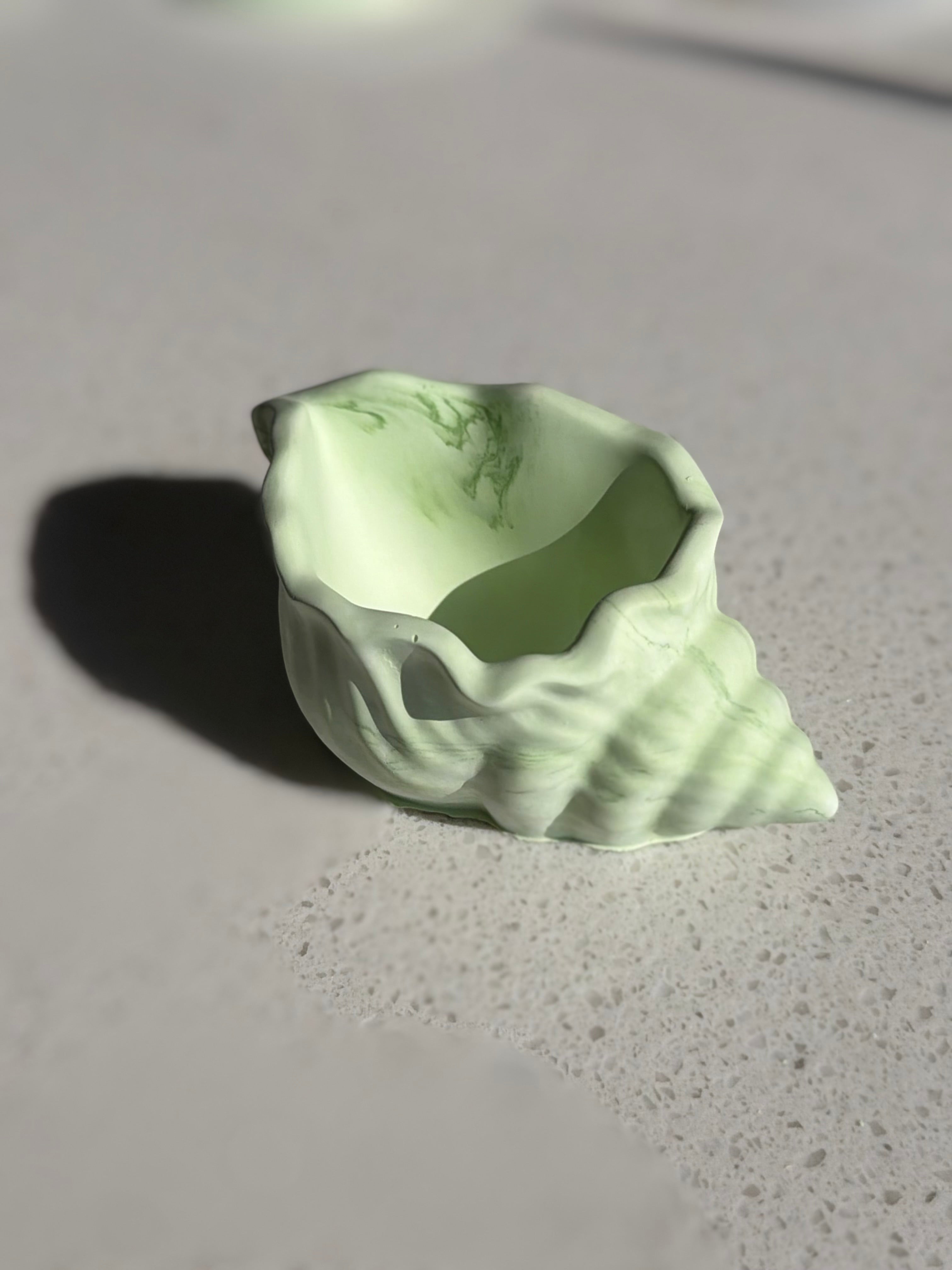 Ocean Conch Seashell Storage Bowl