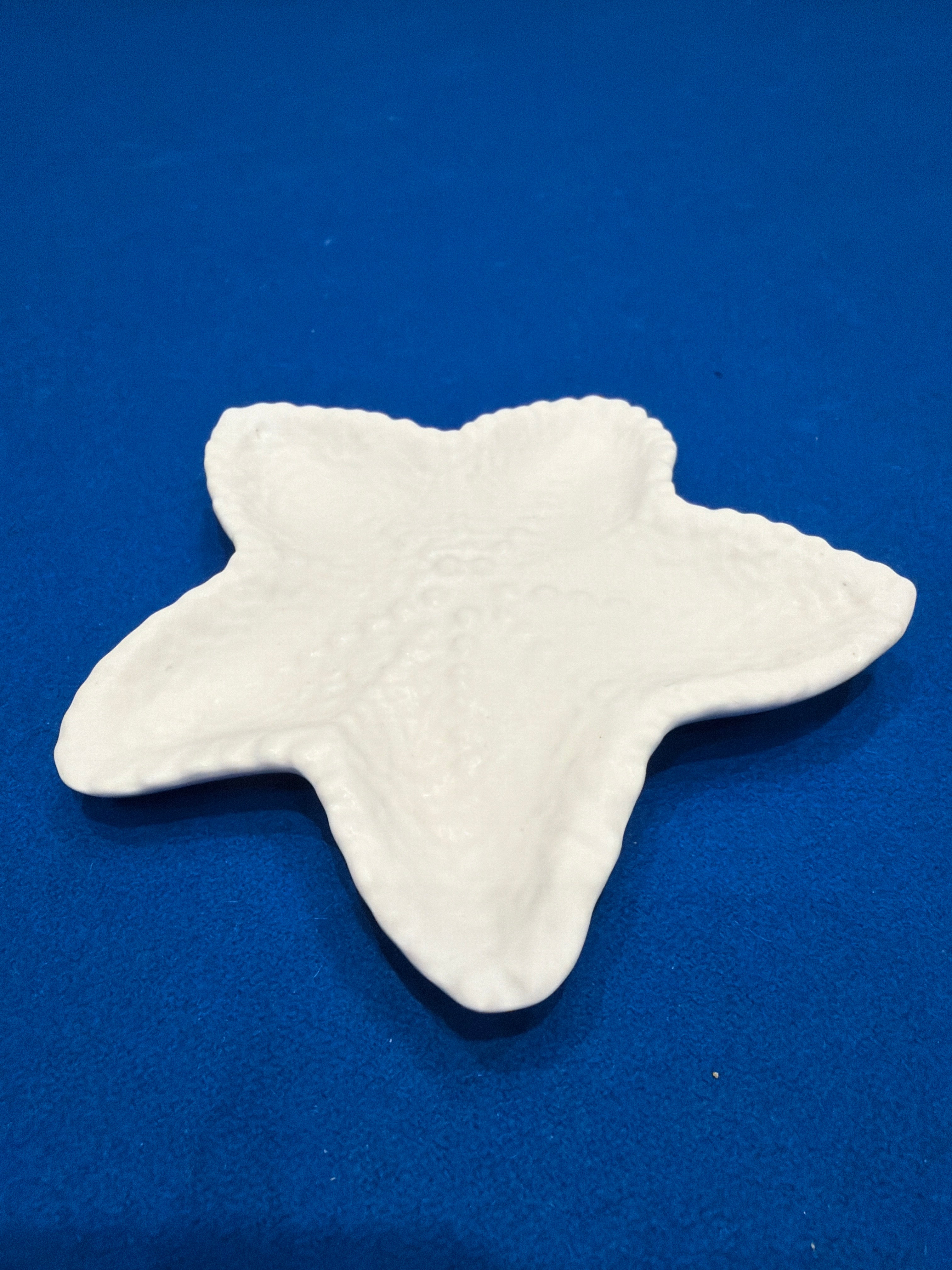 Textured Starfish Coastal Decorative Dish