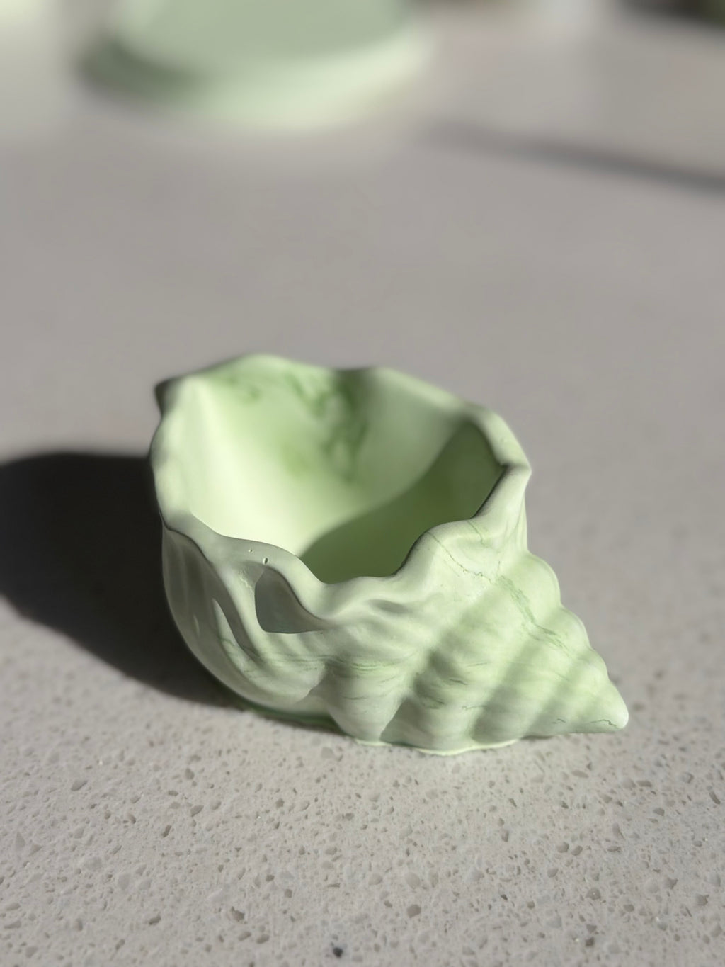 Ocean Conch Seashell Storage Bowl