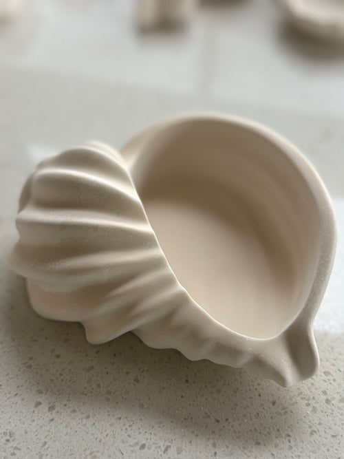 Coastal Spiral Shell Multi-Wick Candle Dish