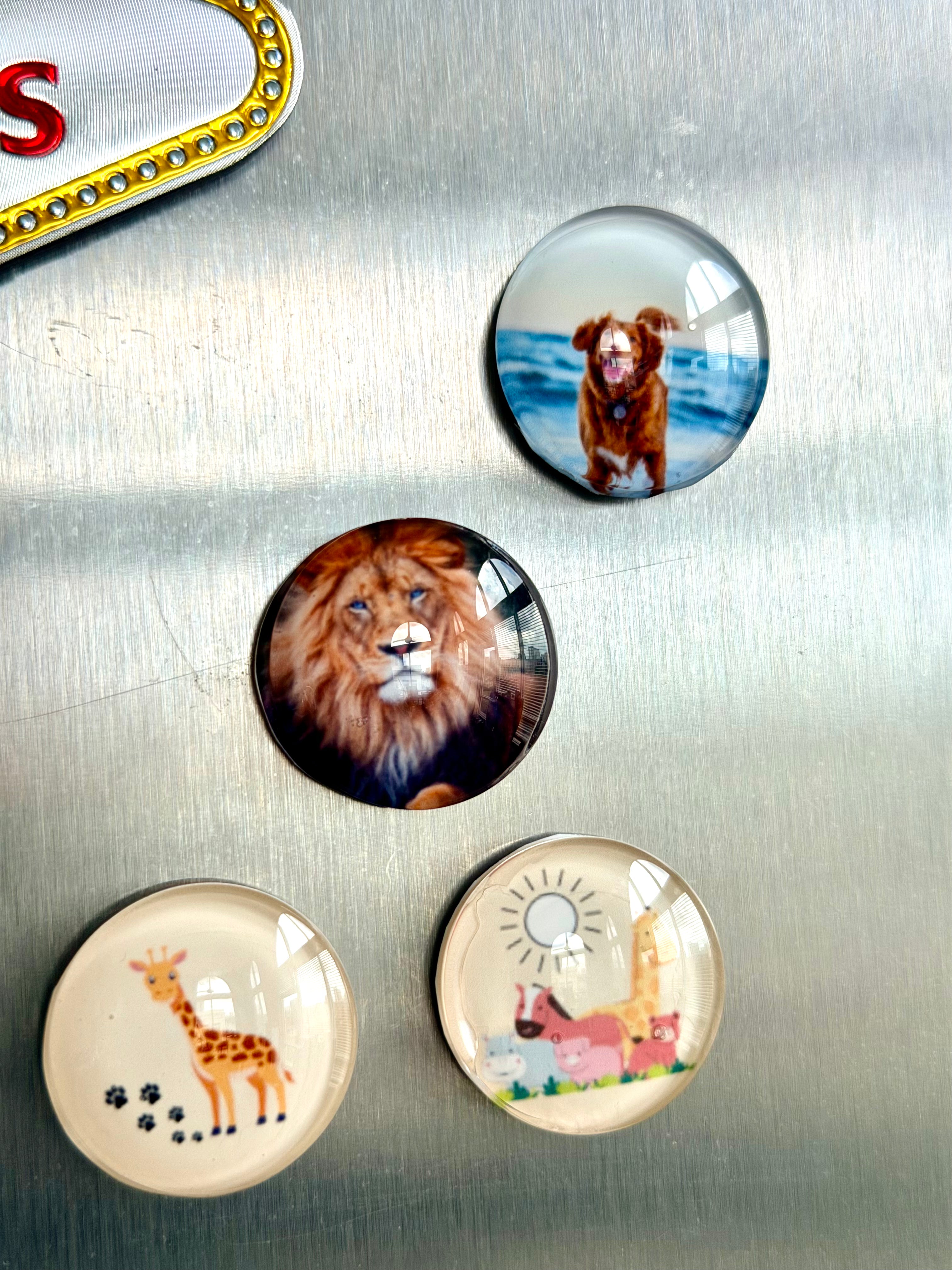 Personalized Photo Cabochon Magnets