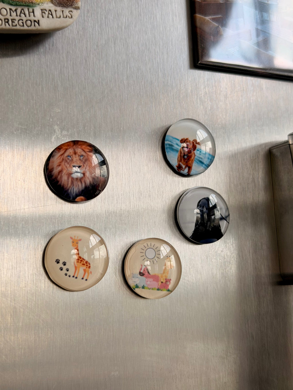 Personalized Photo Cabochon Magnets