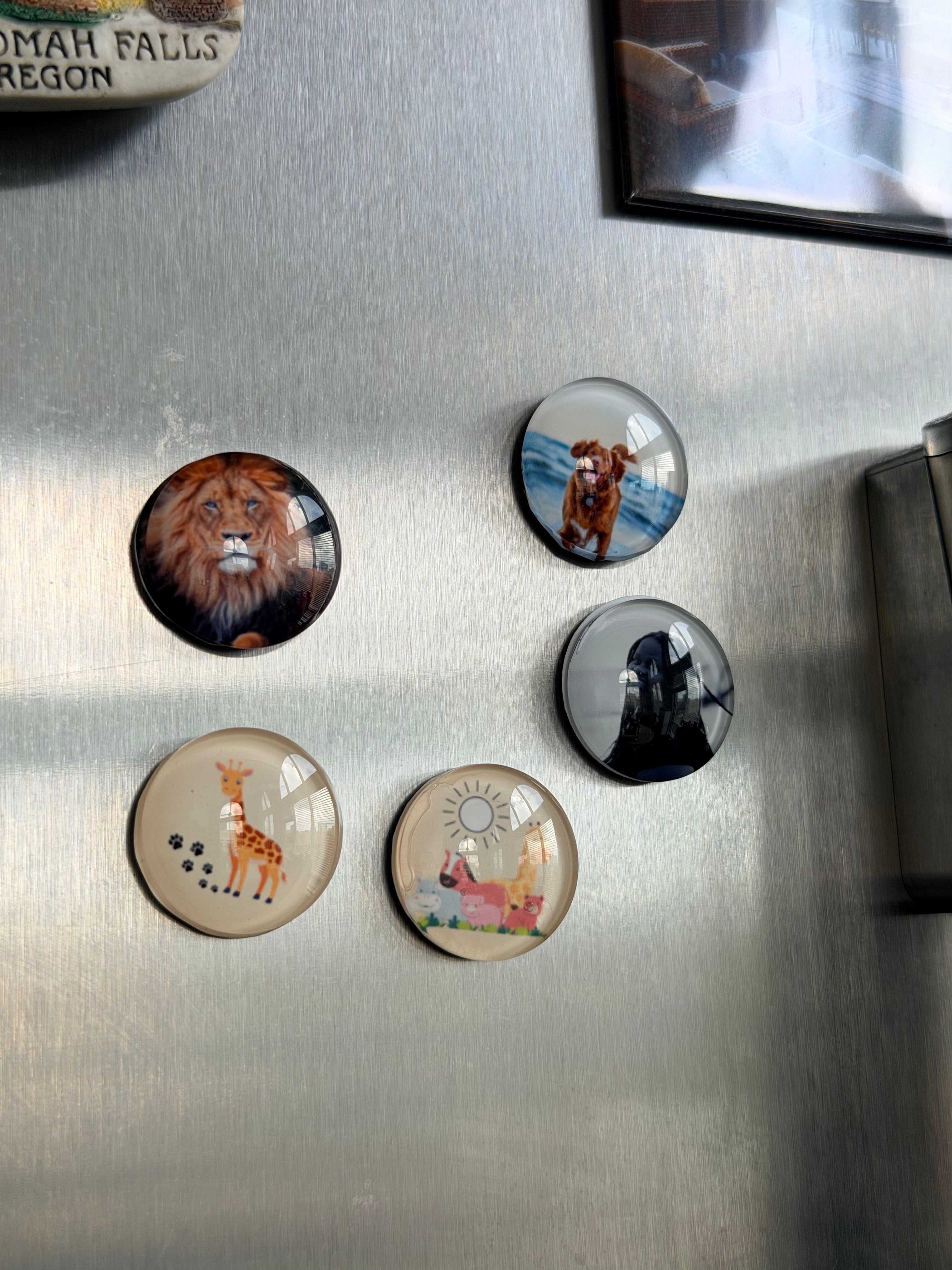 Personalized Photo Cabochon Magnets